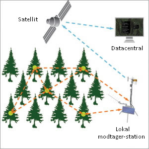 Små radiosendere sender informationer til en lokal data-indsamler der via en satellit sender informationerne videre til en central overvågningscentral