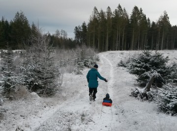 Slædetur i snedækket skov