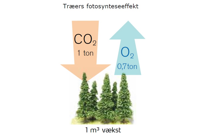 Hvor meget CO2 udleder træ? -