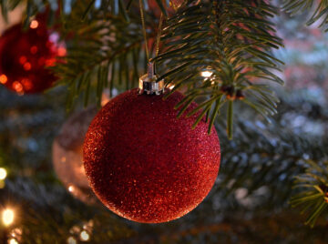 Juletræet forurener "så lidt, at der nærmest ikke er nogen grund til at tale om det". Foto: Frauke Riether/Pixabay