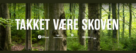 Takket være skoven kampagne dansk partnerskab for skovbrug